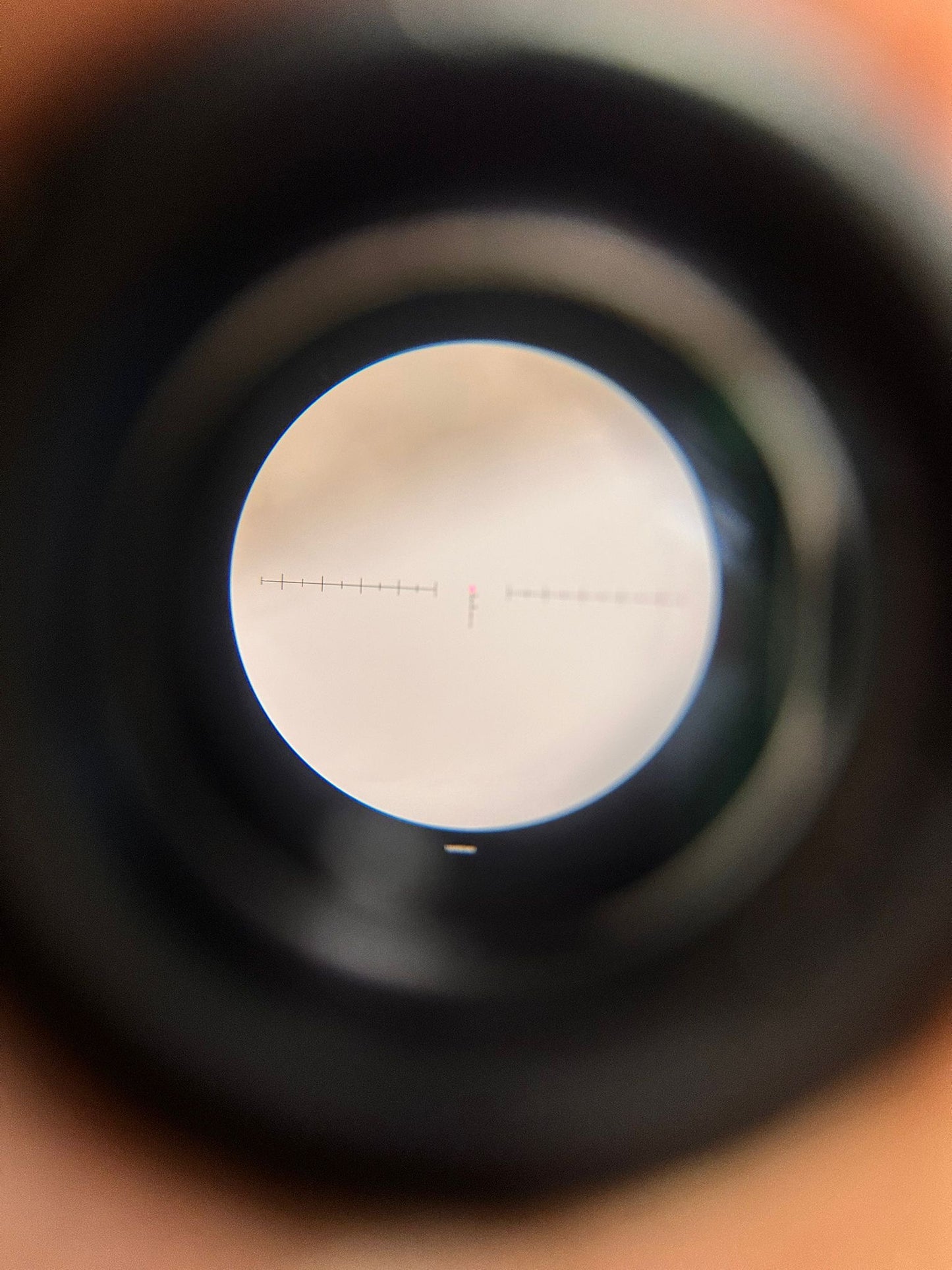 Trijicon ACOG TA31  unit 9